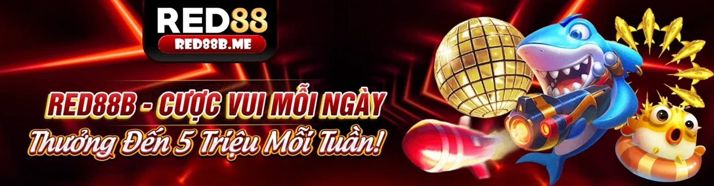 Hình ảnh đại diện cho Tuân thủ GDPR và bảo vệ dữ liệu tại tc88 win