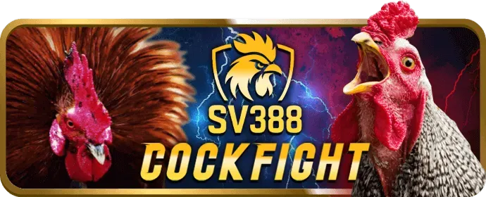 Hoàn Trả Tiền Cược TC88 Win